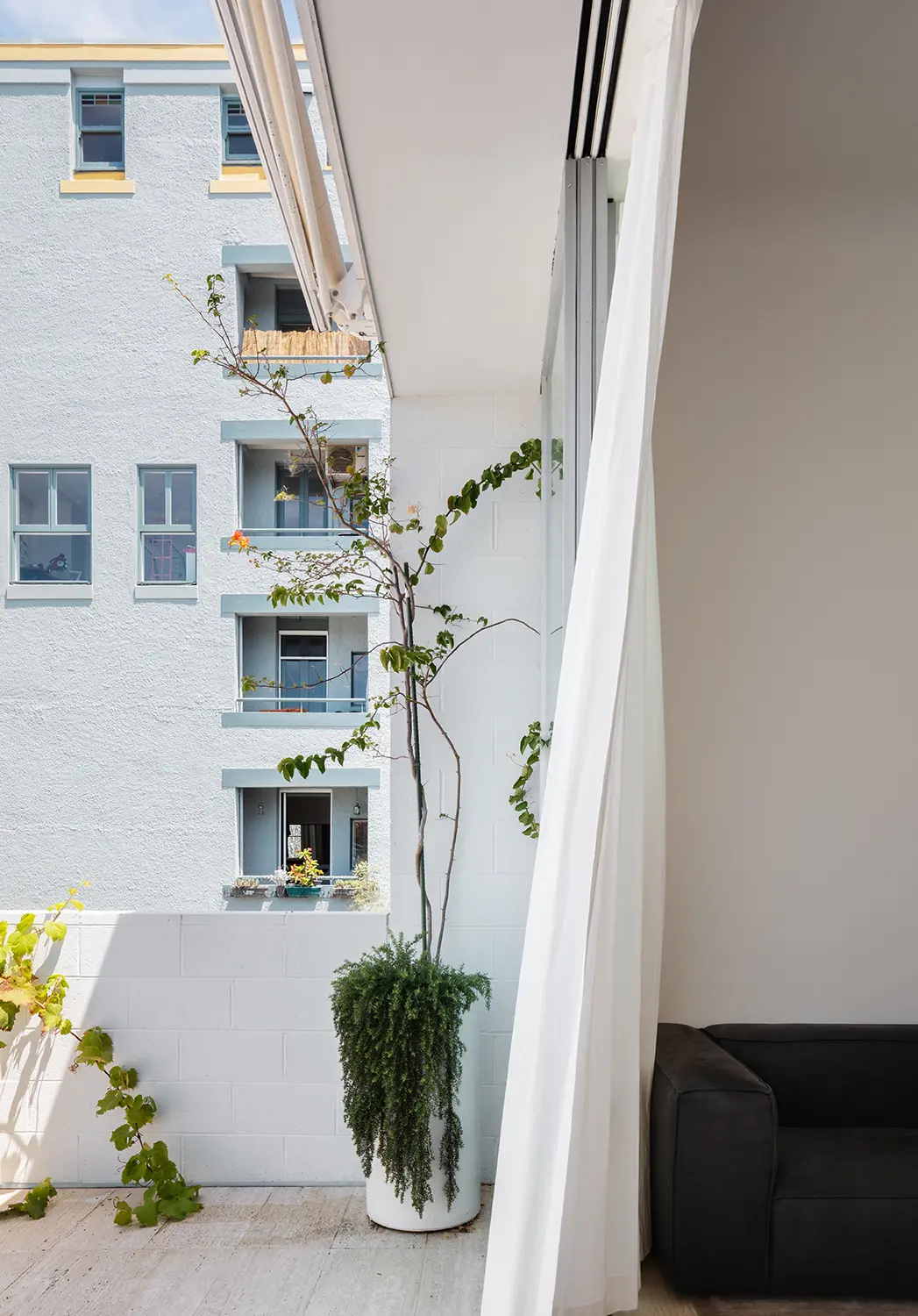 适应性改造的垂直玻璃屋（Laneway Glass House）丨澳大利亚悉尼丨Brad Swartz Architects-36