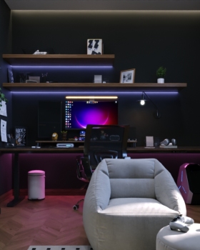 Studying Room 3D design- visualization