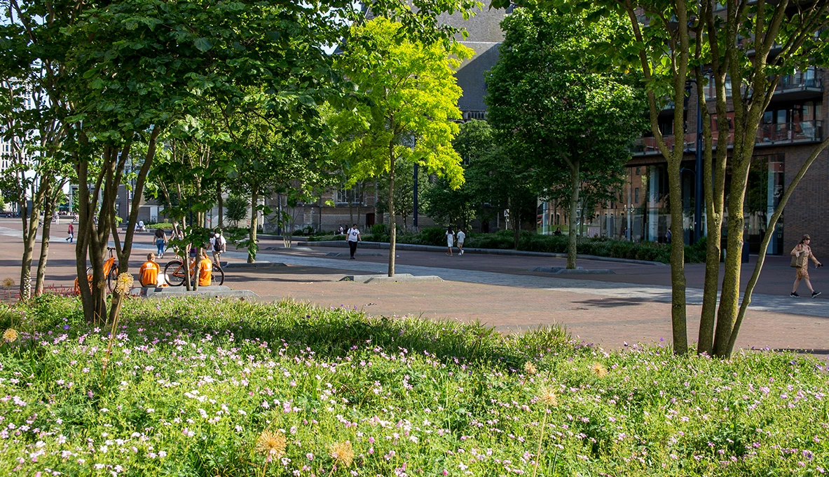 Binnenrotte Rotterdam-13