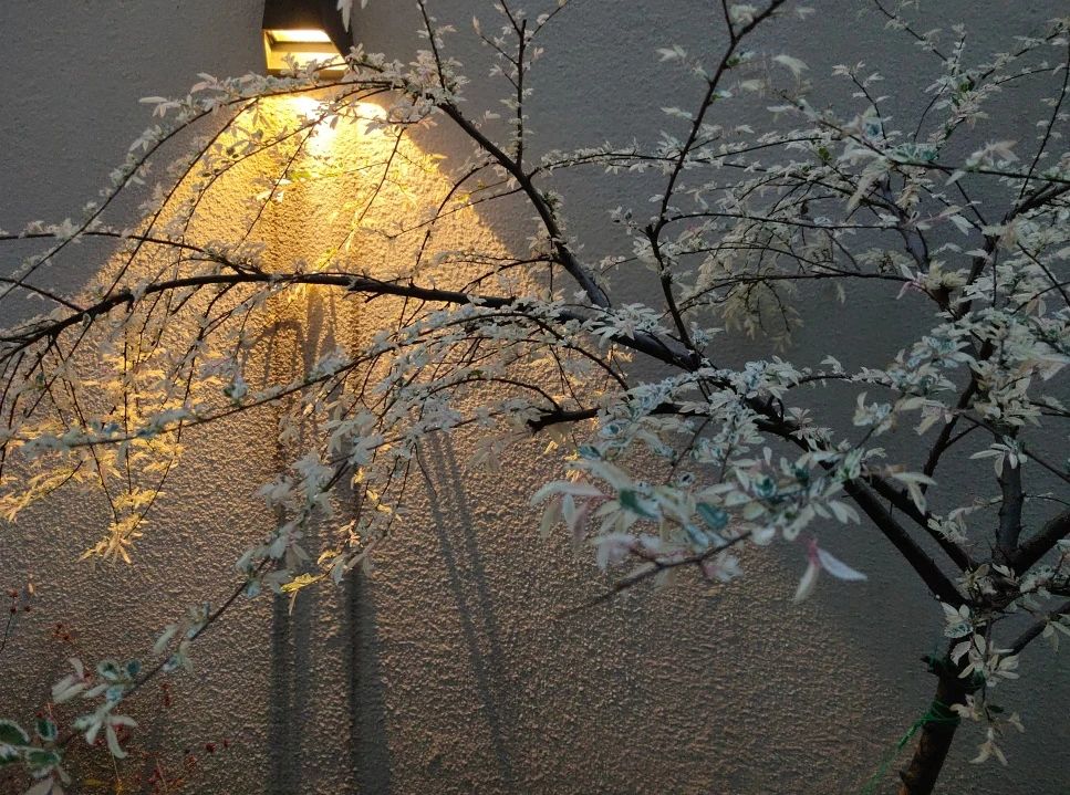 新江与城·天越丨中国重庆丨H 空间设计-69