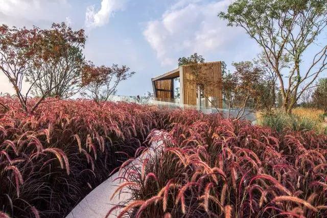 成都麓湖生态城·麓客岛丨中国成都-36