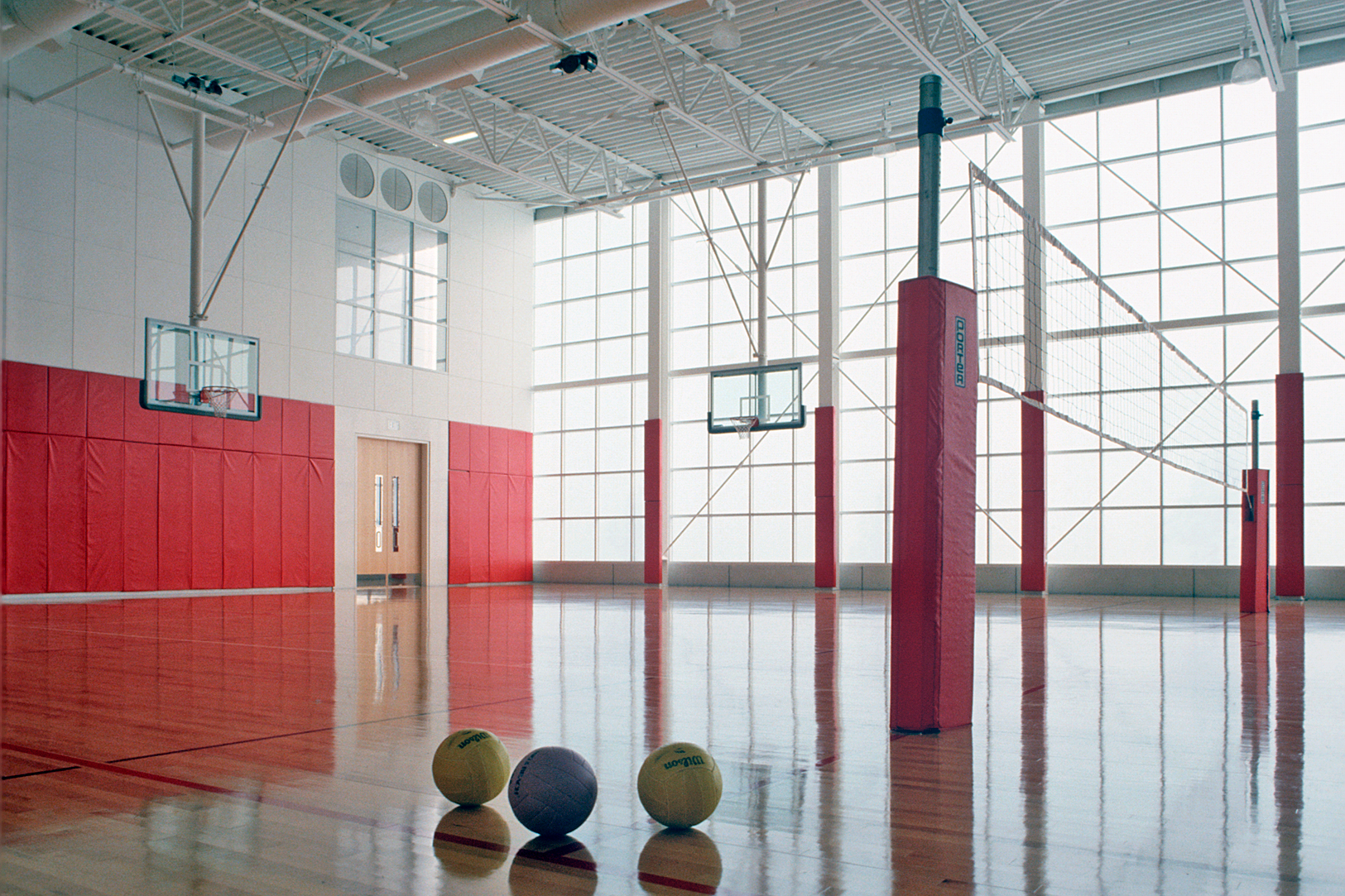 SAN FRANCISCO SPCA-4