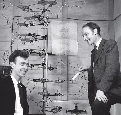 《无面时代 2 | 空间,病毒与信息》解读-23