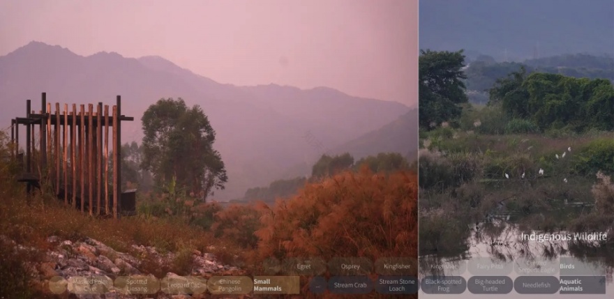 桂头镇湿地公园:为被遗忘的乡村重建公共空间丨中国广东丨有限设计工作室-32