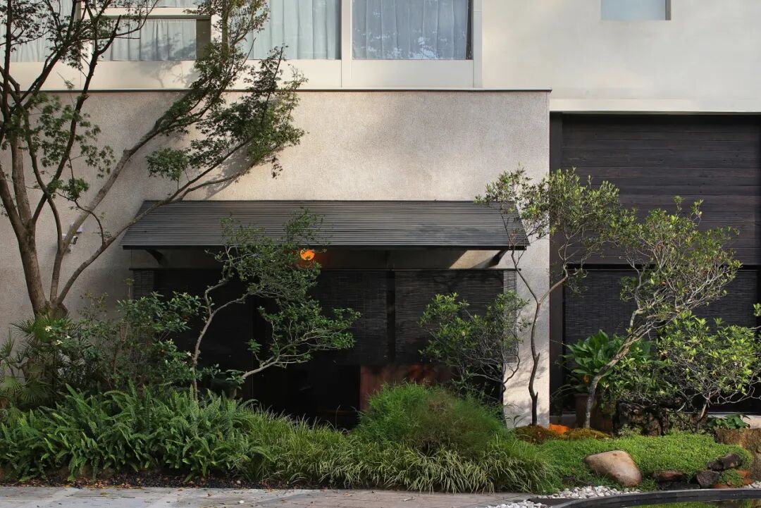 玩木工坊| 以木为媒，让沉淀的茶文化随手可摸-5