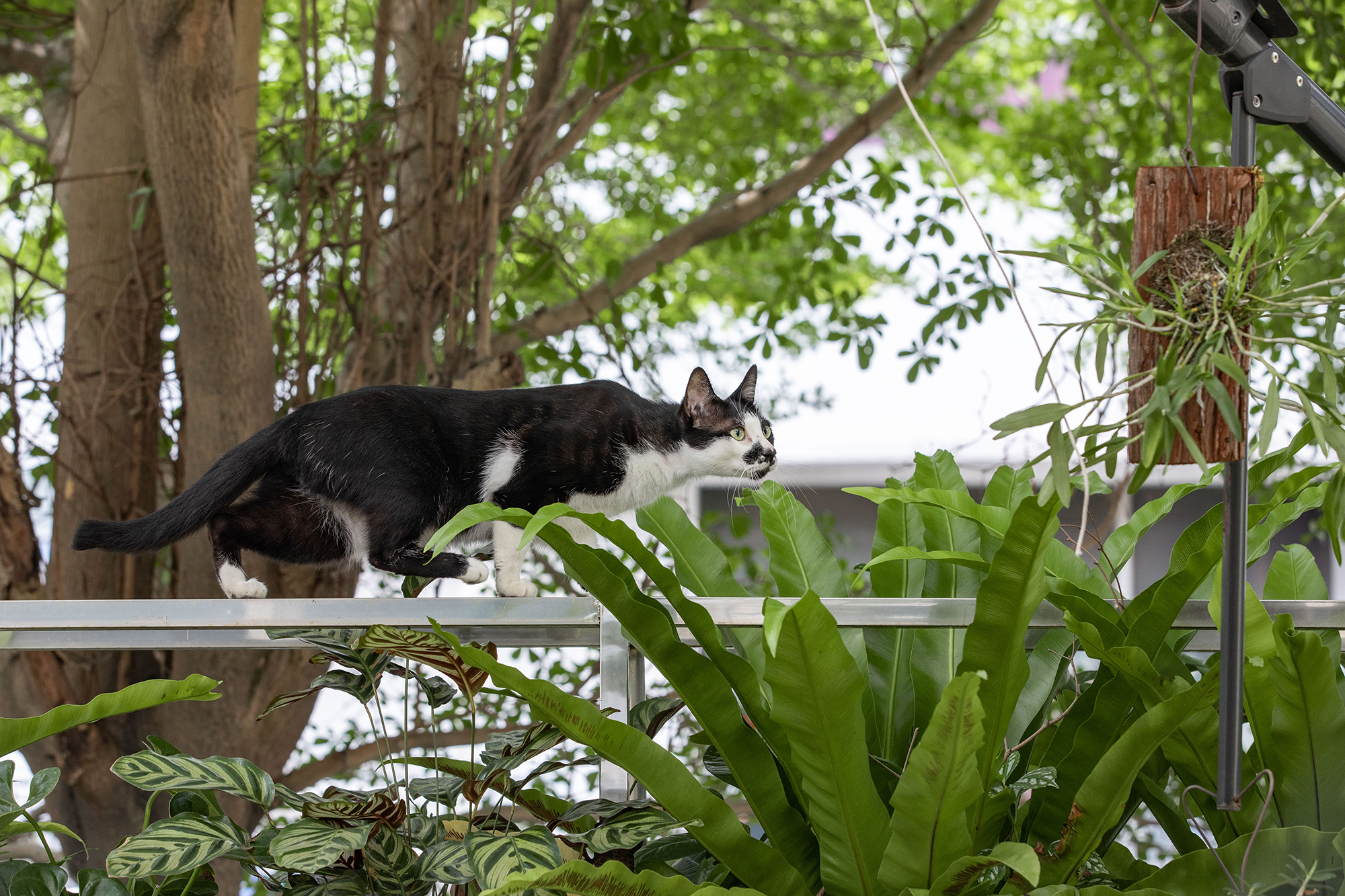 深圳南海意库5号楼屋顶花园-31