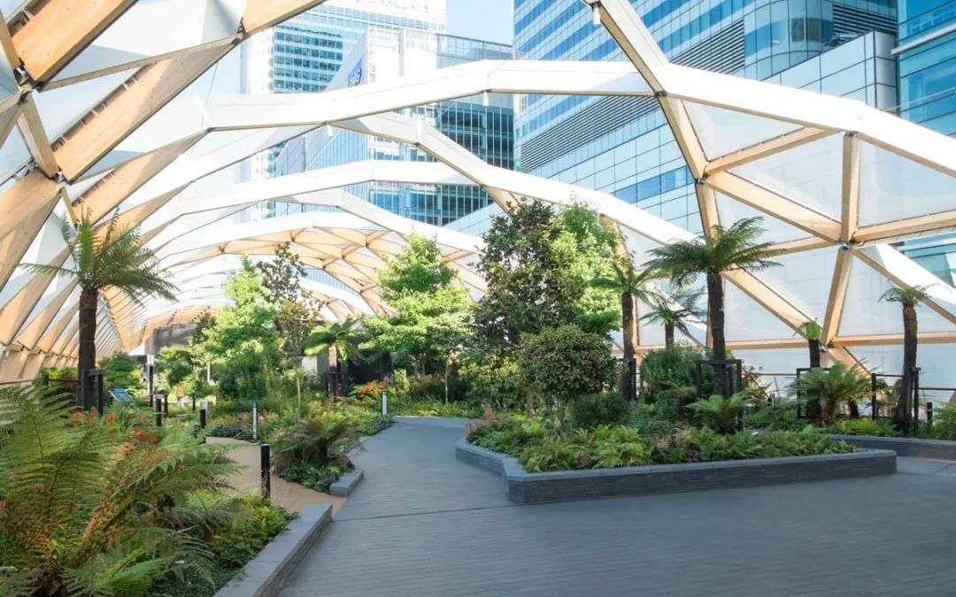 泰国Ramathibodi Healing Garden-74