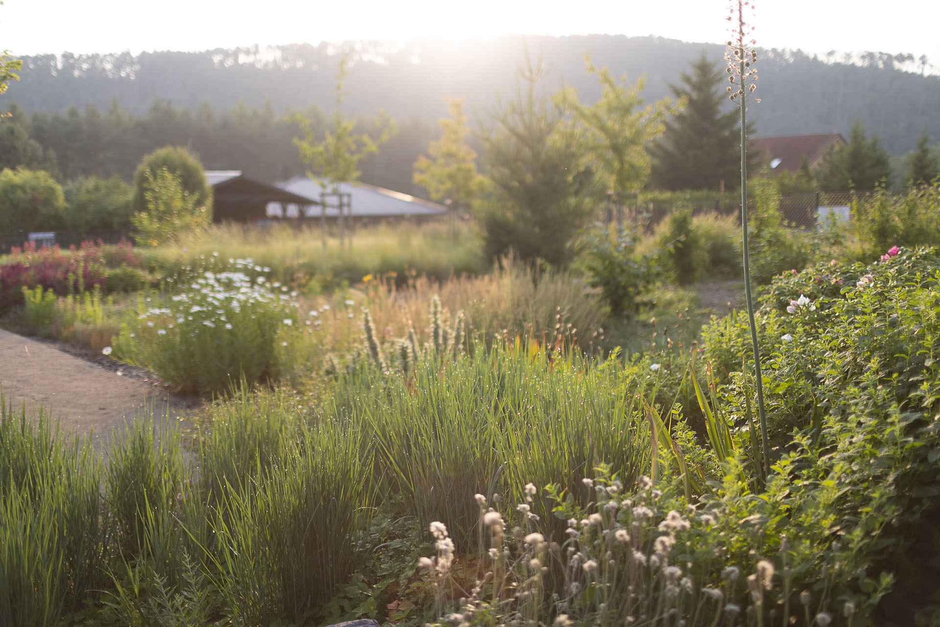 卡米克水库旁家庭住宅花园设计丨捷克-58