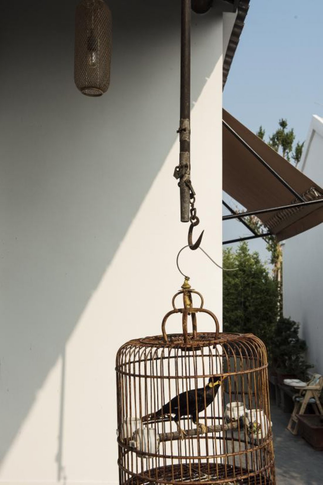 言午居  许建国-8