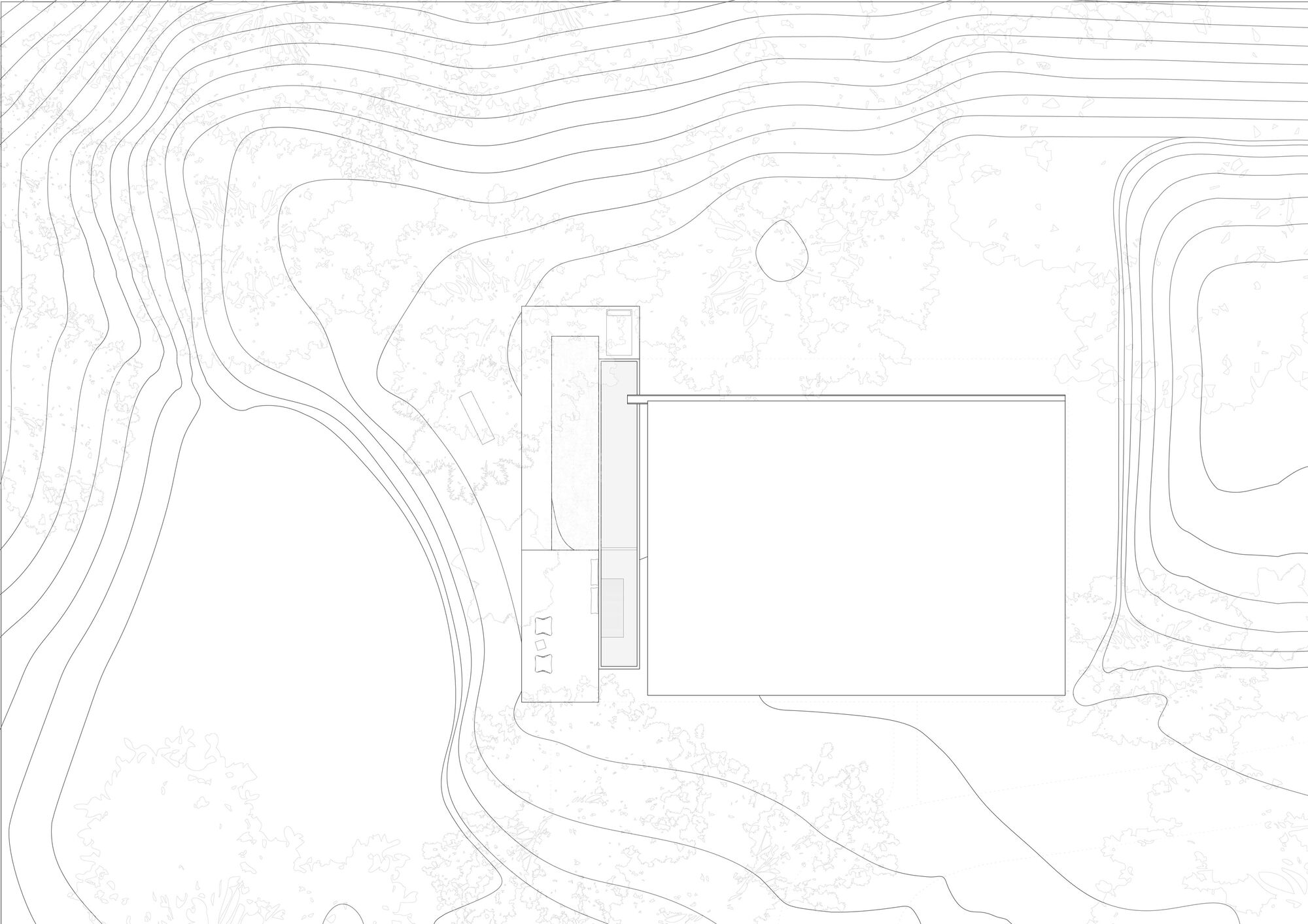 丛林开放日丨哥斯达黎加丨Ksymena Borczynska-36