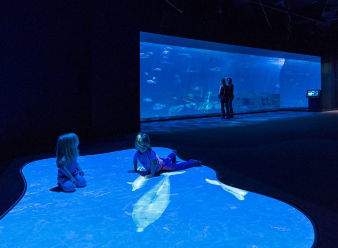 Featured | CambridgeSeven-32