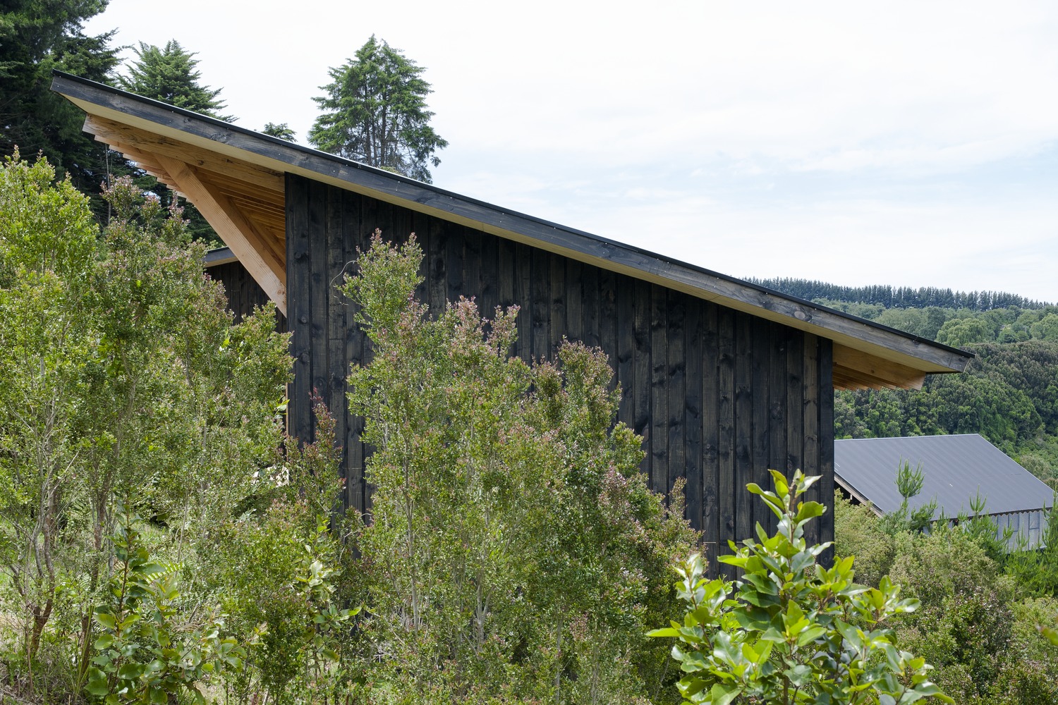 智利 Domeyko Bay 湖畔住宅-38