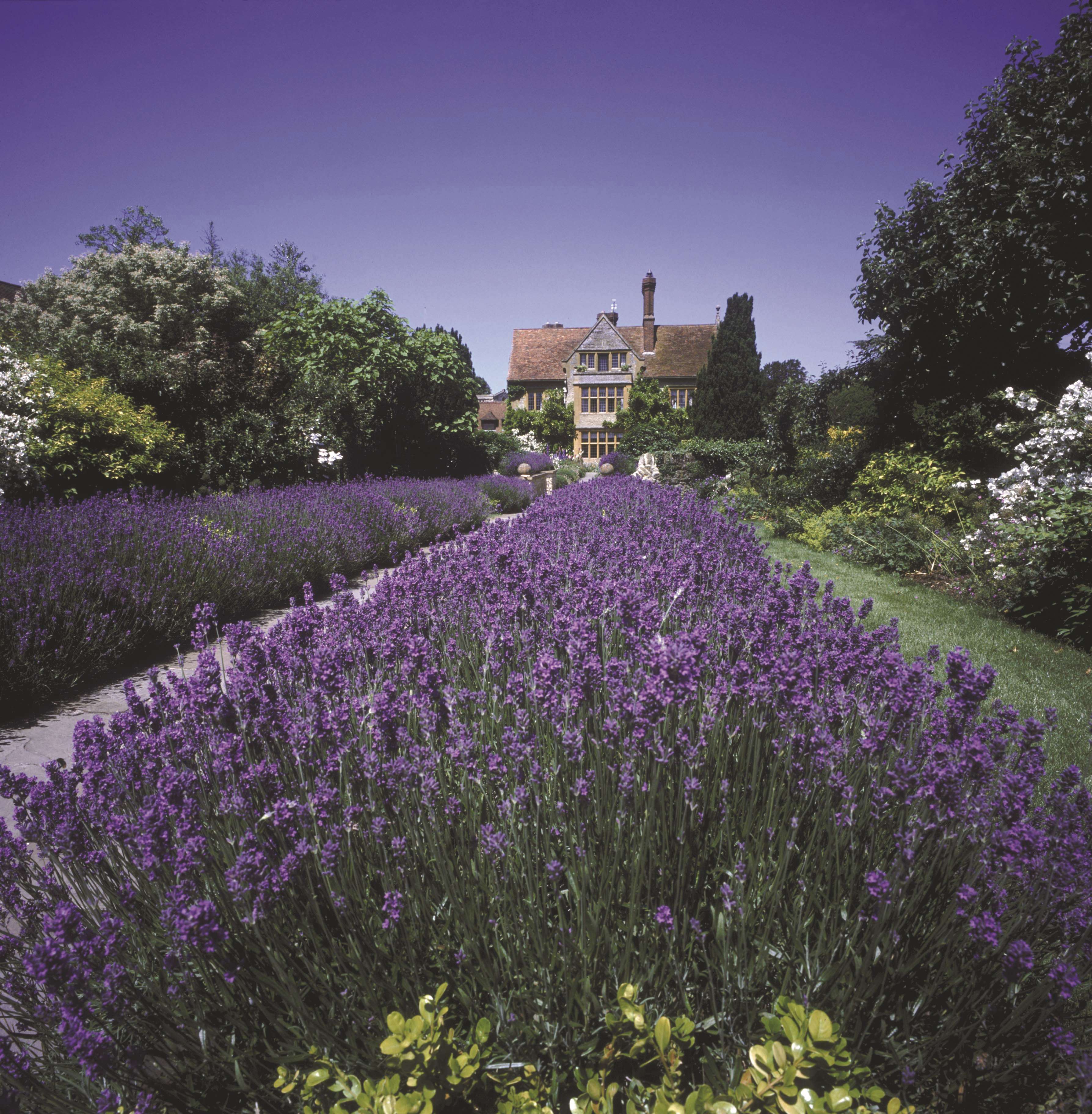 英国Le Manoir aux Quat'Saisons未上架-34