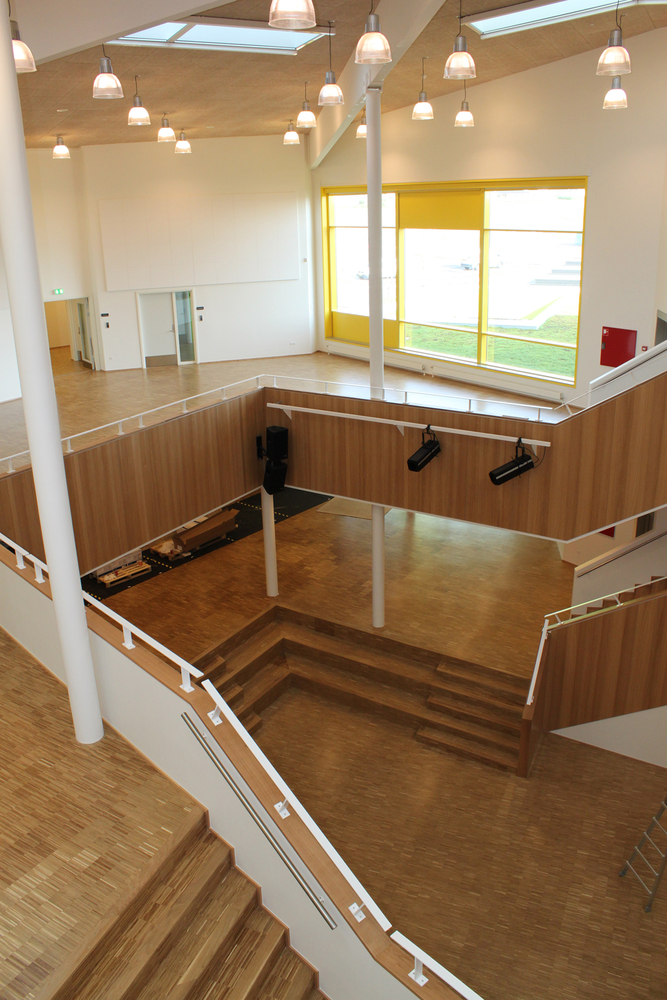Tjørring School  FRIIS - MOLTKE Architects-30
