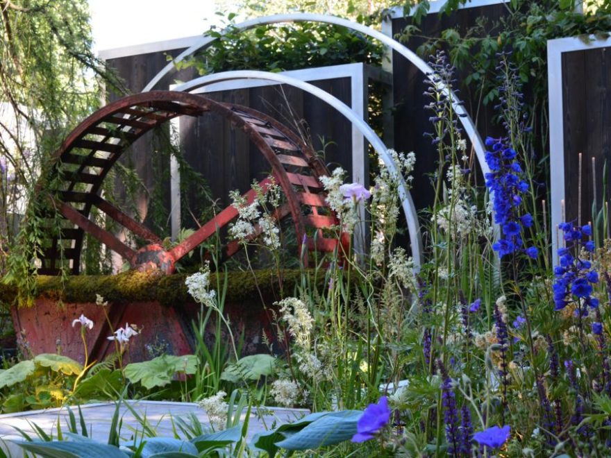 Eau de bonheur - Didier Danet - Entreprise Paysagiste-44