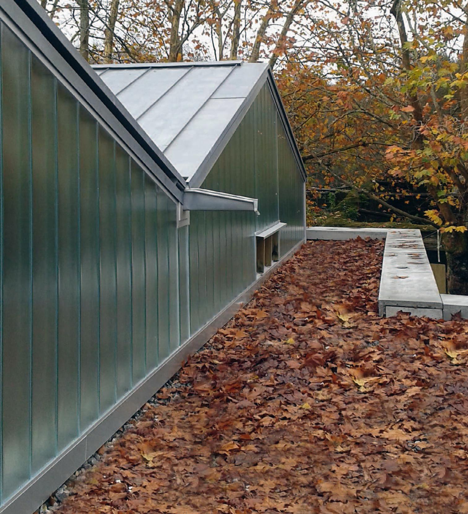 运动康复中心的生态融合设计-17