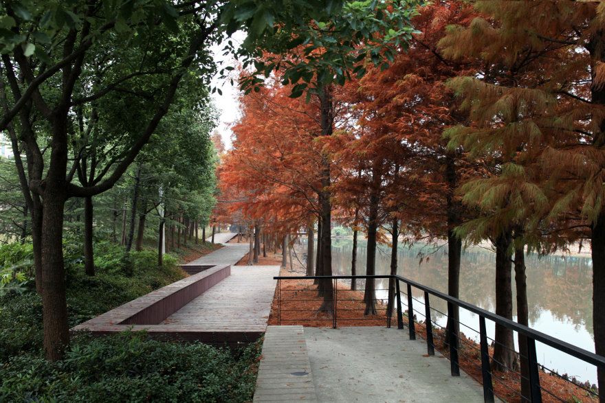 嘉定石冈门塘湿地公园-12