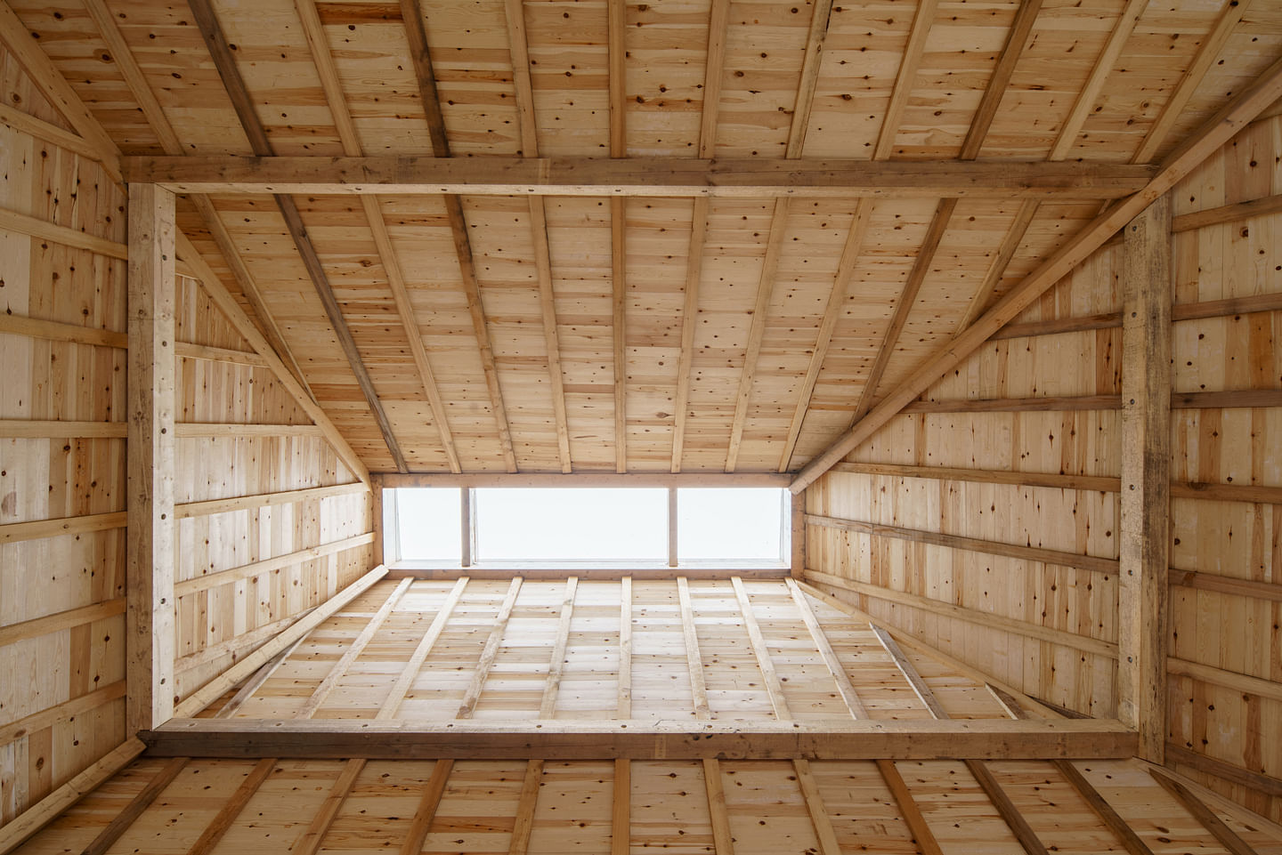 哥本哈根阿玛格自然公园游客点改造项目丨丹麦哥本哈根丨ADEPT（建筑）,LYTT Architecture（景观）-39