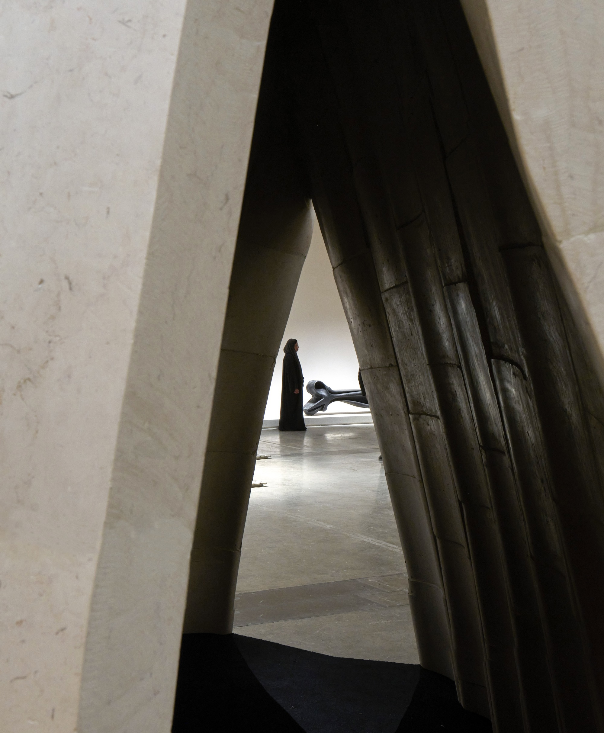 提亚马特装置丨卡塔尔多哈丨AAU ANASTAS-13