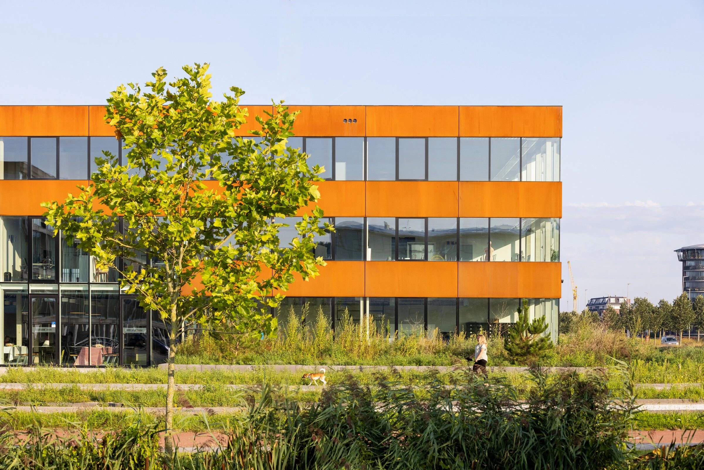 Wolfert Lansing 学校丨荷兰丨architectenbureau cepezed-25