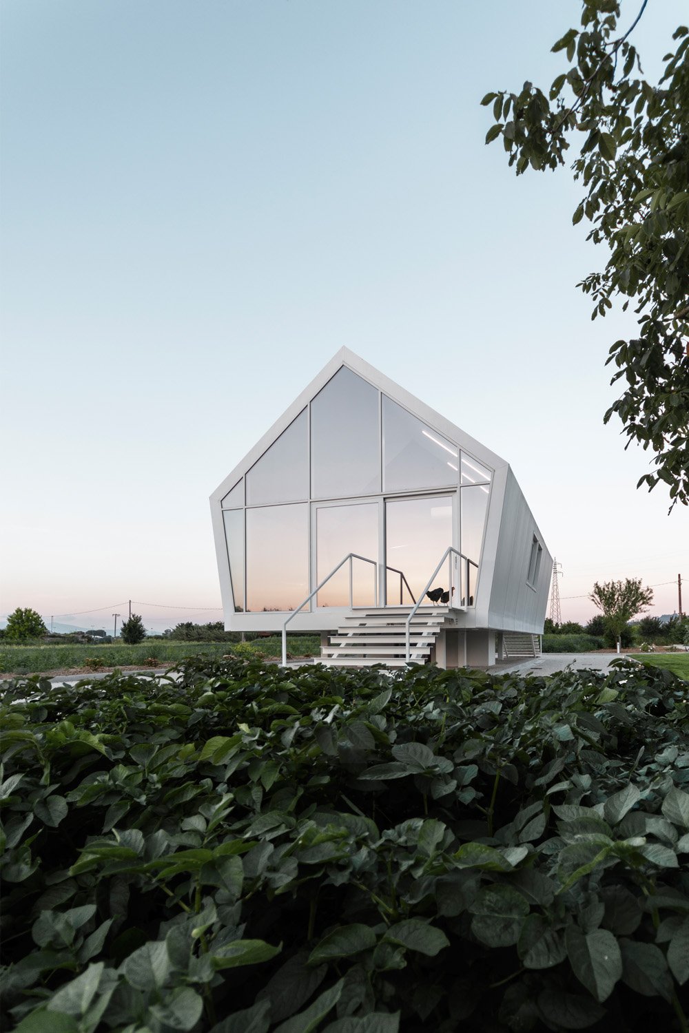 果园中的家园-25