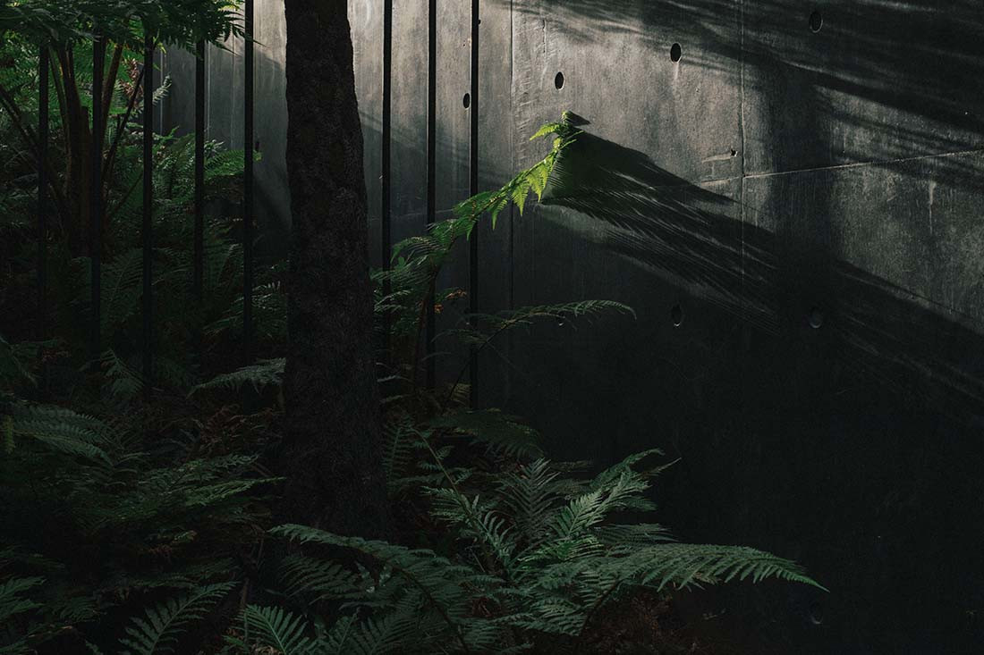 丨澳大利亚新南威尔士丨Edition Office-31