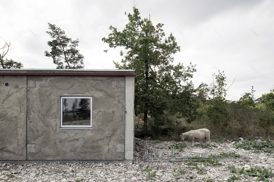 Savannah House and Savannen Pavilion / Ateljé Ö-11