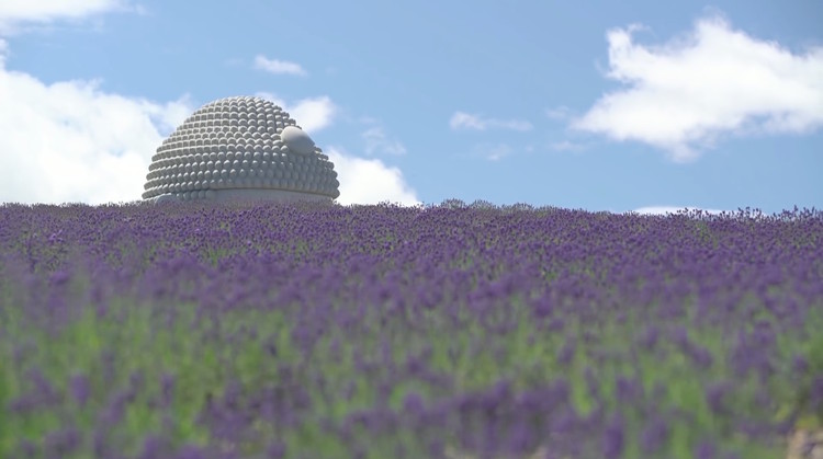 北海道真驹内泷野陵园薰衣草寺庙包裹佛像项目丨日本丨安藤忠雄（1995年普利兹克奖得主）-15