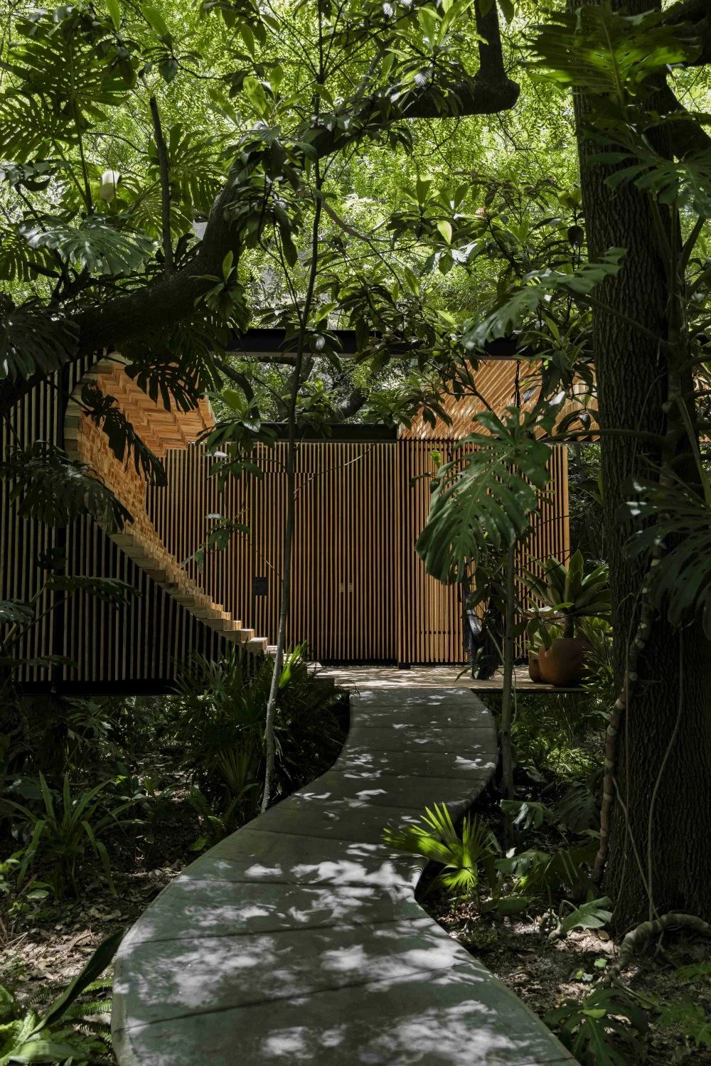 马格屋丨墨西哥丨Mauricio Ceballos X Architects-2