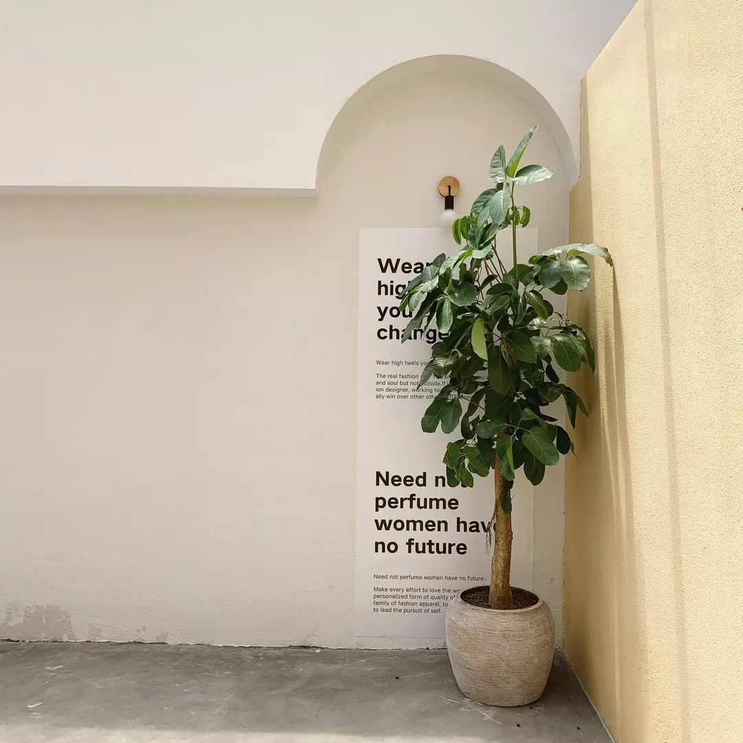 韩风 INS 风结合,打造多元拍摄空间——杭州荭馆西兴第六期改造-21