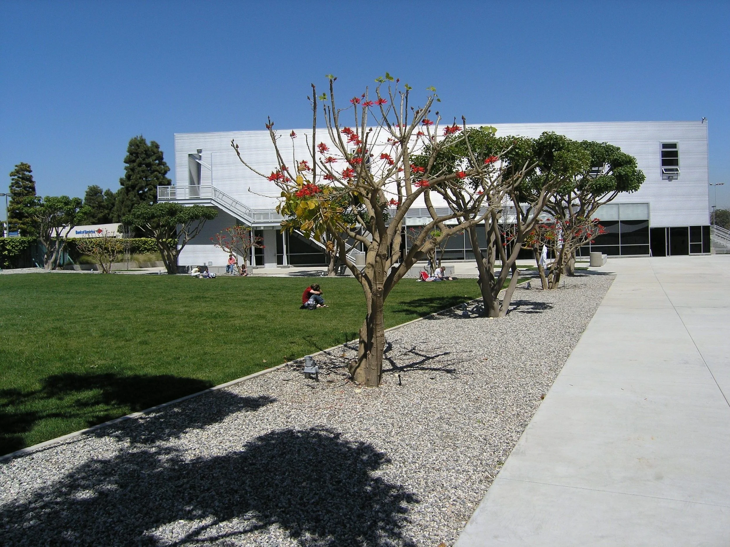 丨美国洛杉矶-20