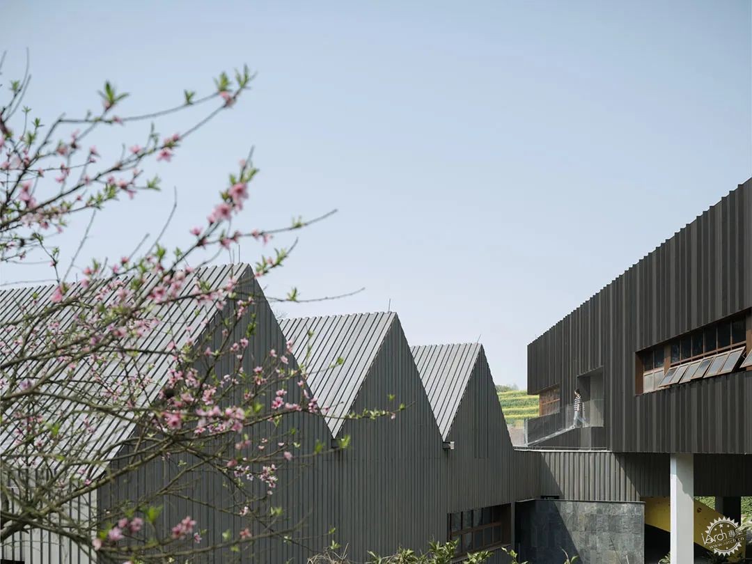 江小白乡村俱乐部 | 现代建筑与自然的共生-77