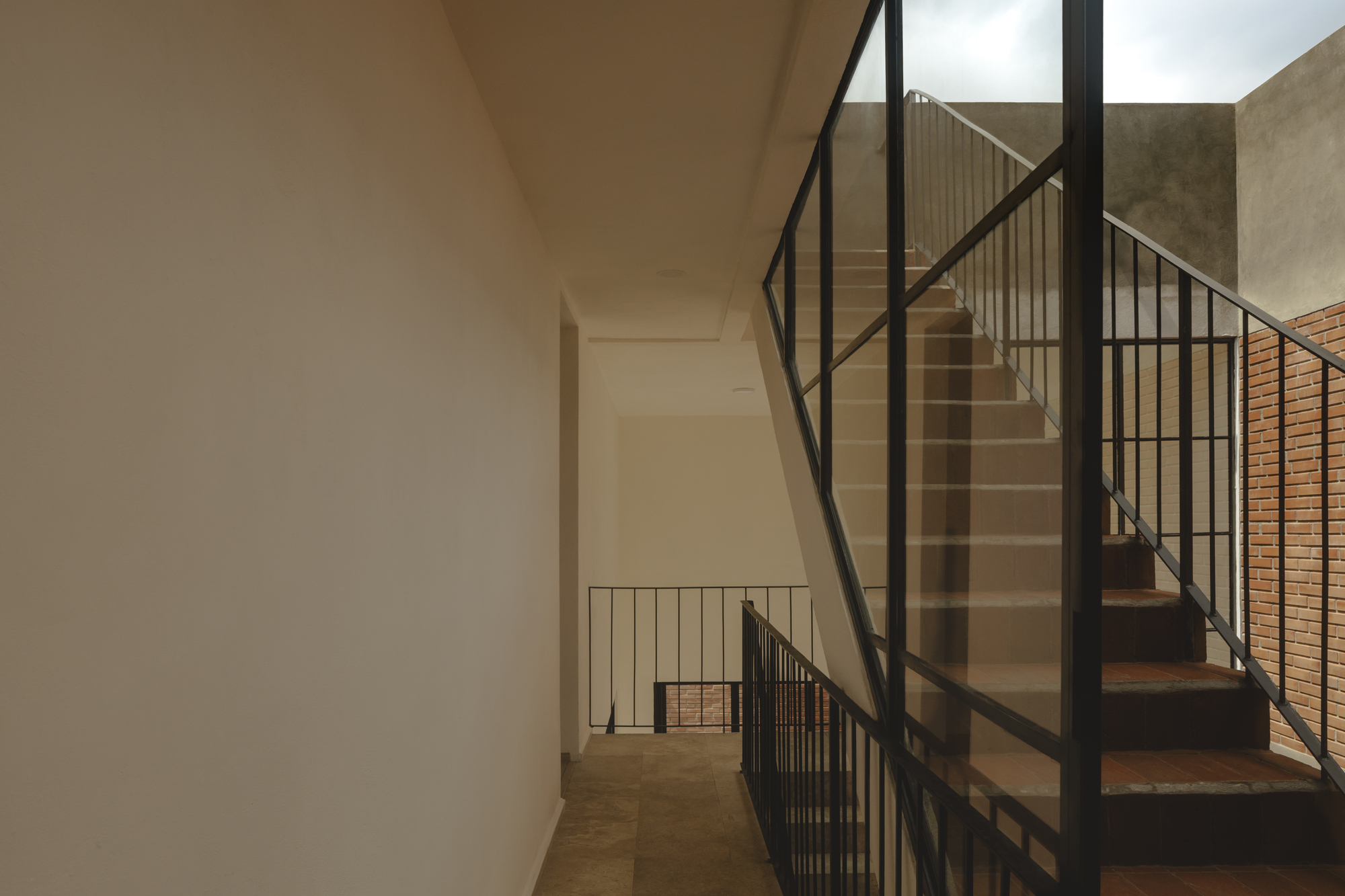 鲨鱼屋丨墨西哥丨TALC-35