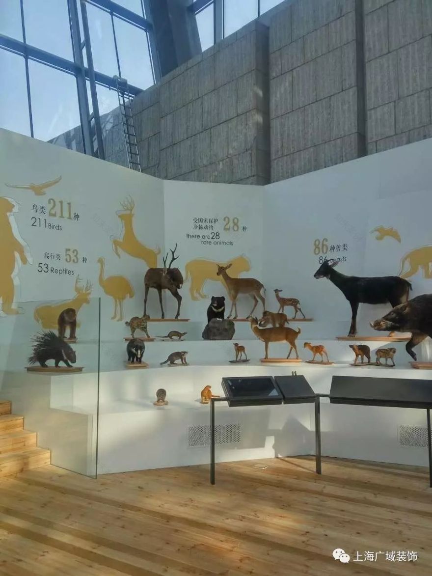 归来不看岳------广域装饰之黄山城市展示馆项目-26