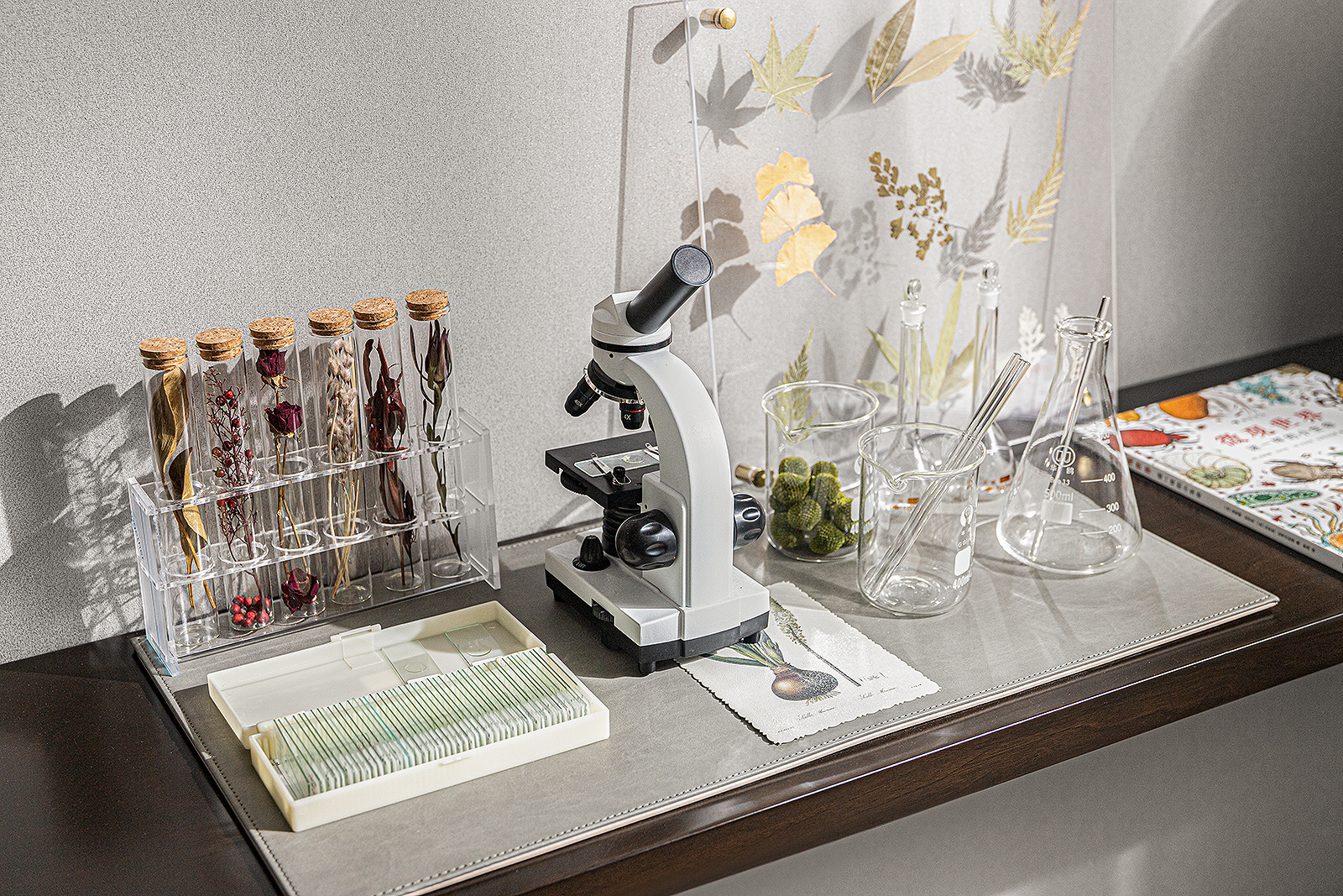 郑州探秘自然主题的住宅样板间丨中国郑州丨UMA 伍玛设计-22