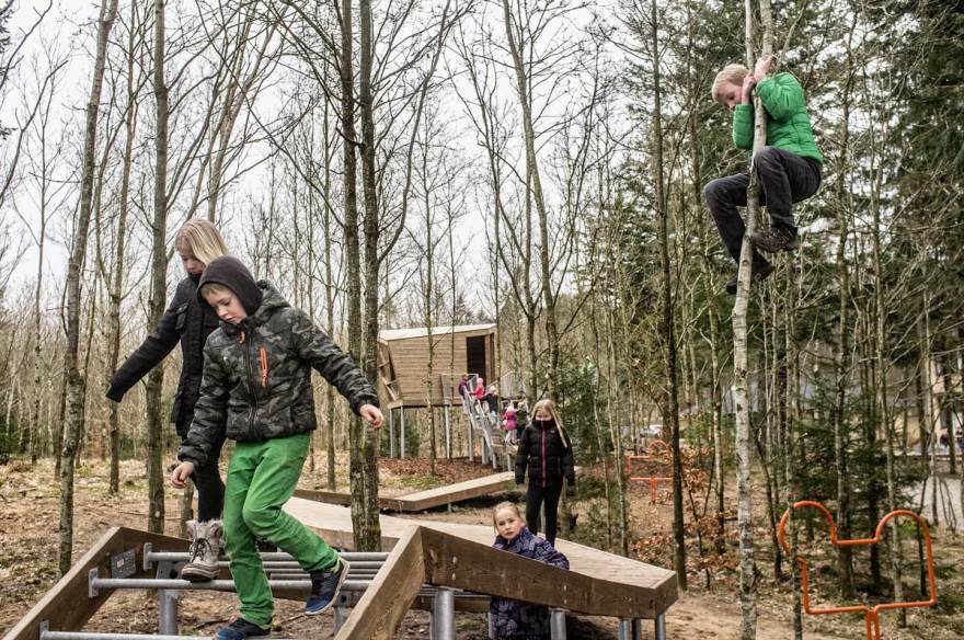 活力校园森林里的运动环丨丹麦丨VEGA landskab-24