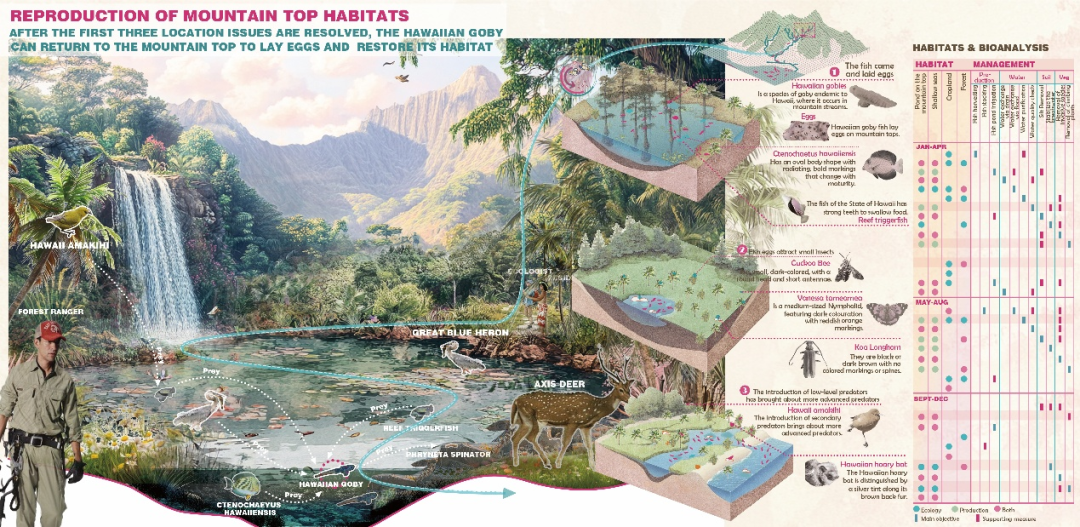 苏大风景园林研究生横扫2025ASLA三项大奖,6年11冠超越国际名校-151
