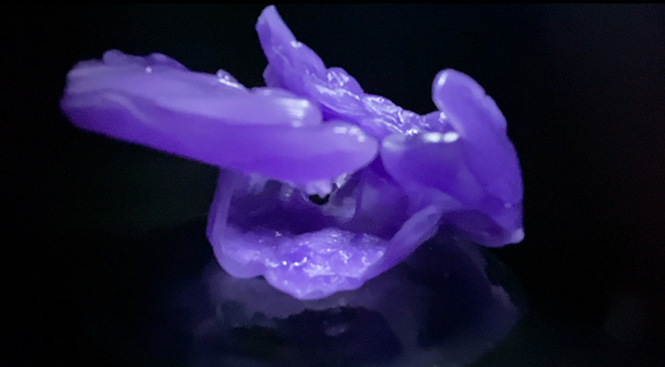 空间与自然元素-52