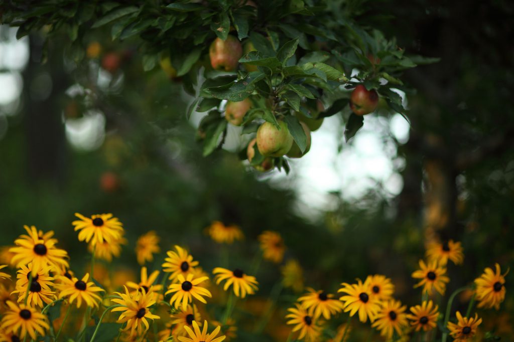 丨Janice Parker Landscape Architects-0