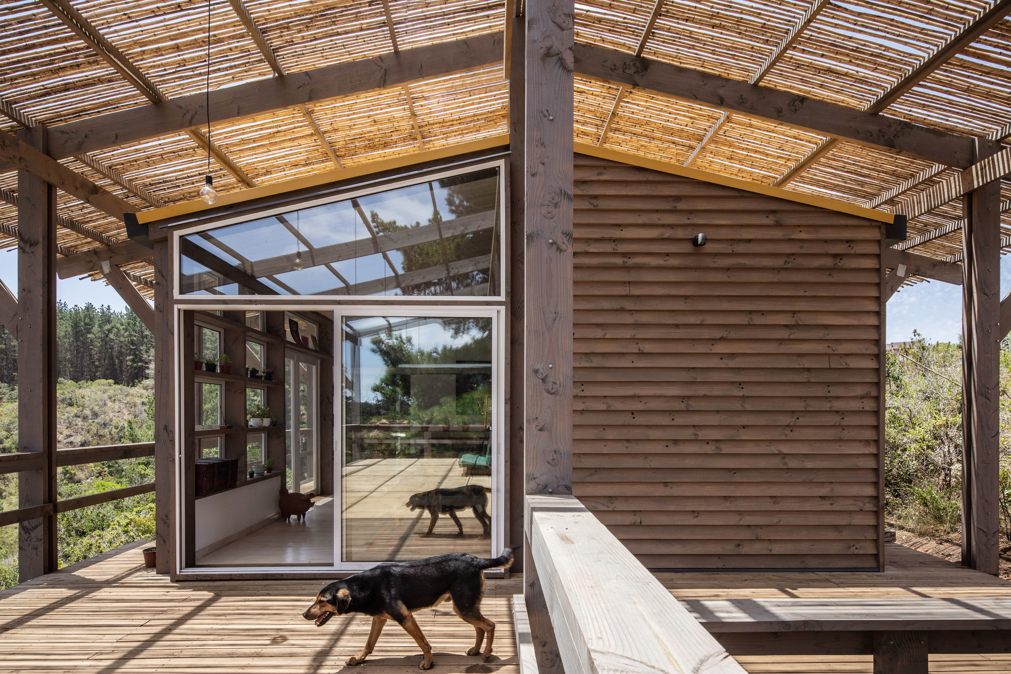 恩特雷卢斯之家丨智利-18