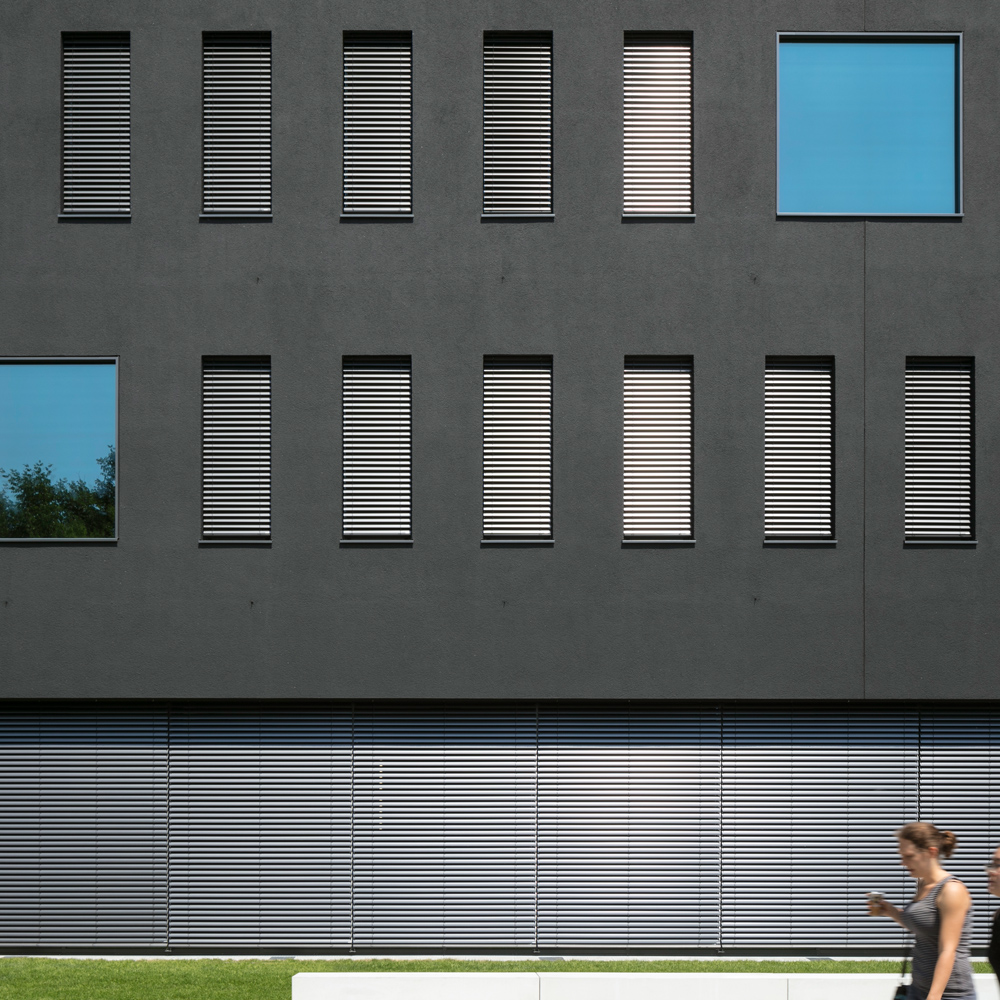 黑 façade 的集成感染疾病研究中心(CIID)-6