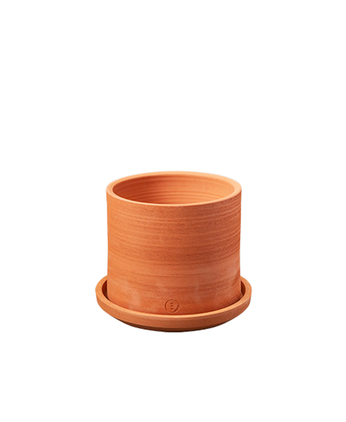  vavava' . miniforms-5