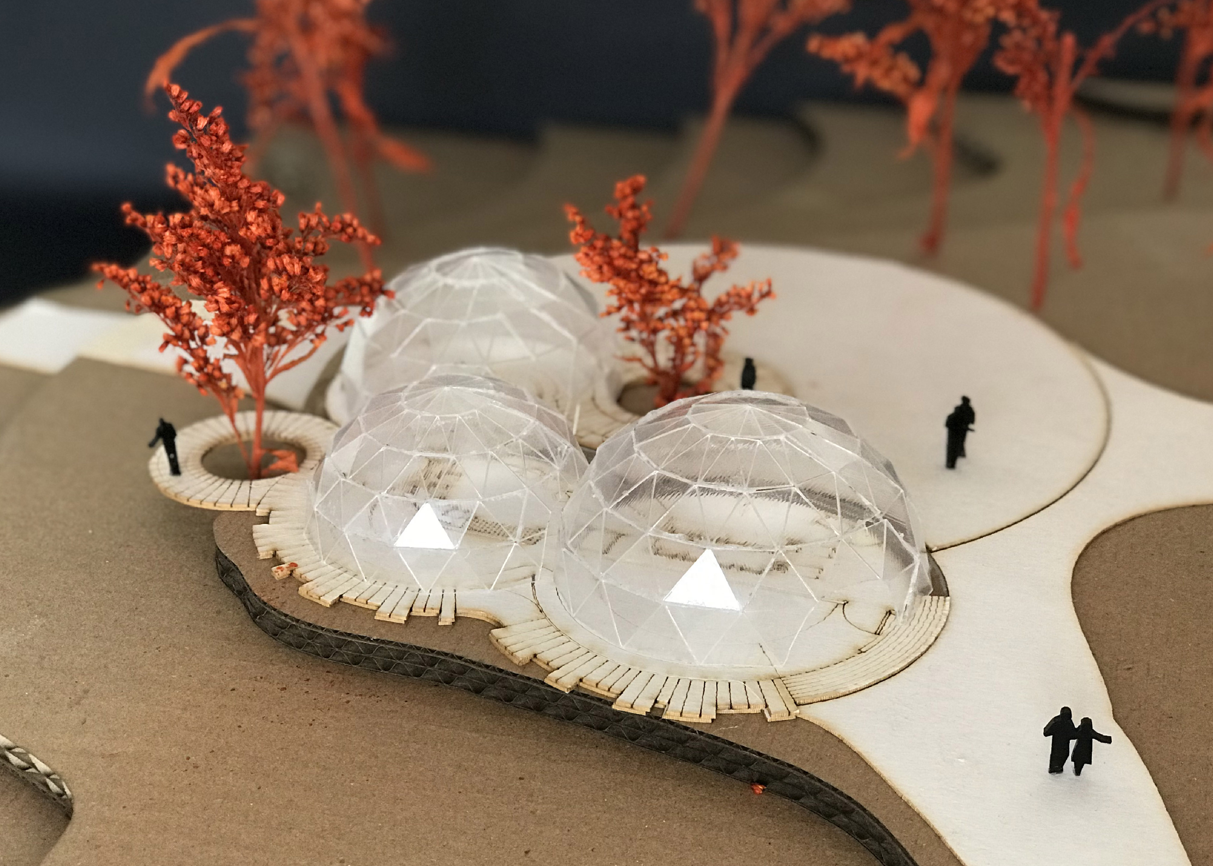 CF·项目地点·自然地点丨哥伦比亚-16