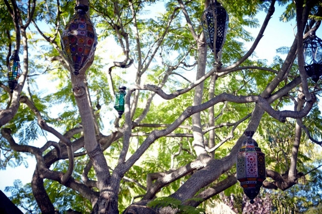 带屋顶太阳能板的现代住宅丨美国加利福尼亚-53