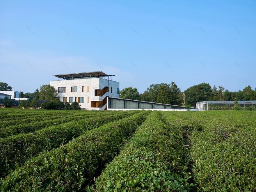 矿山度假村·山丘丨中国景德镇丨siarchitecture-14