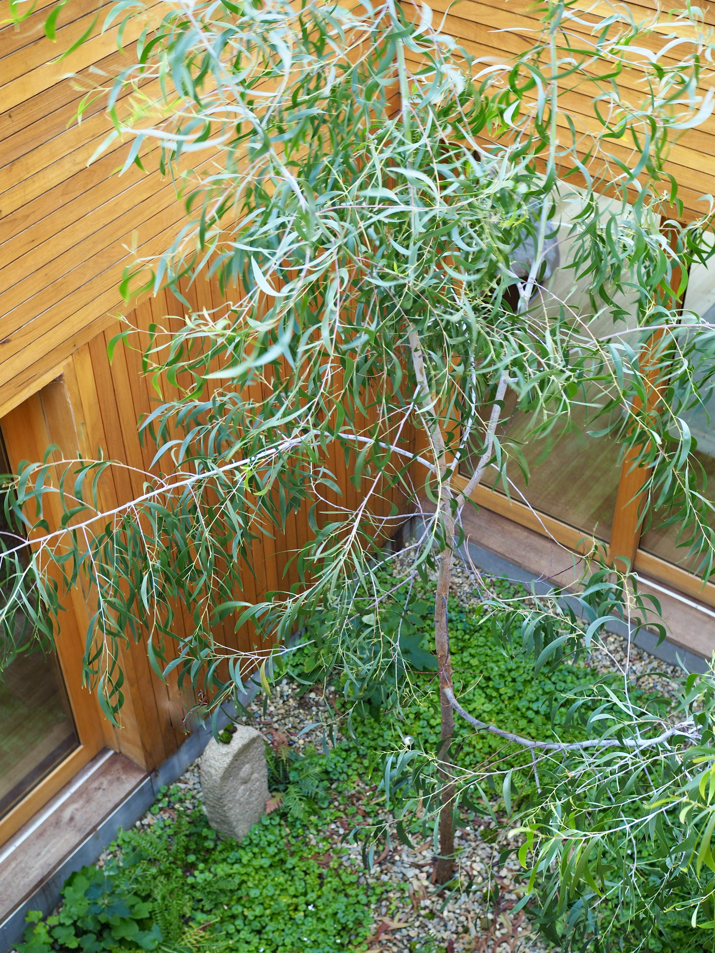 丨MODO（建筑设计）,Straw Brothers（设计,园艺与摄影）-18