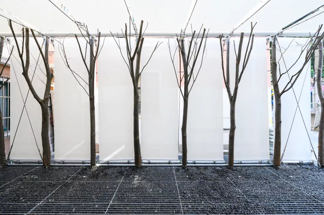 裸筑更新 · 口袋公园-24