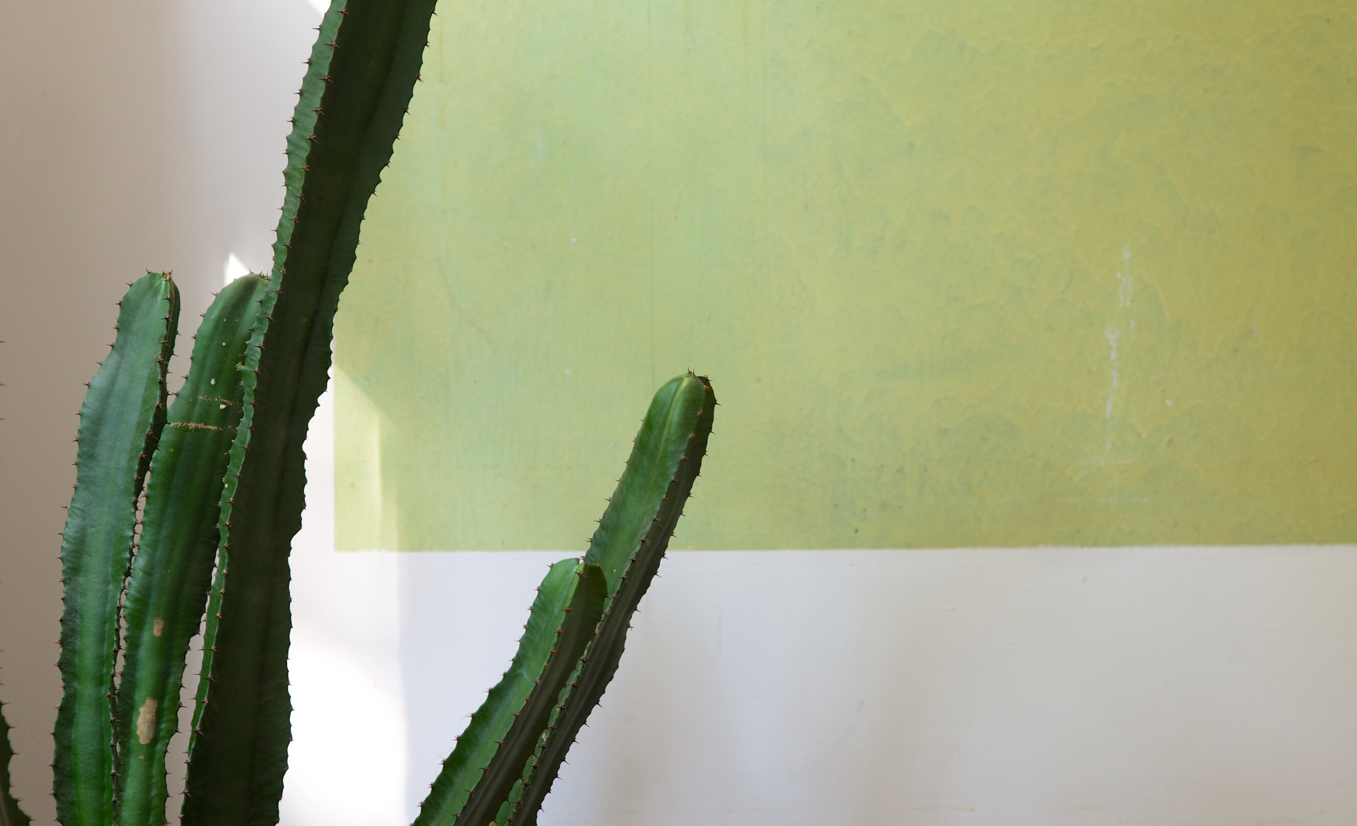 柏林历史建筑翻新，打造明亮宜居空间-17