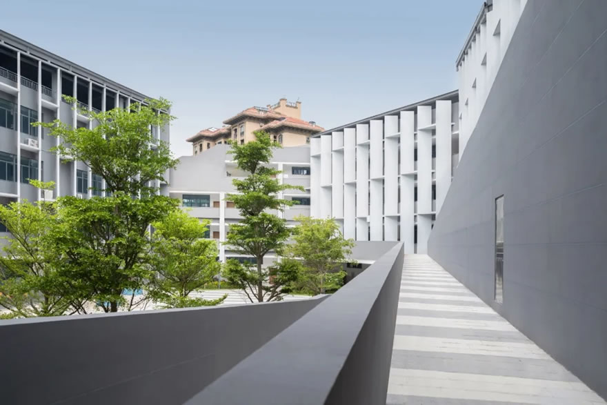 海口市椰博小学-19