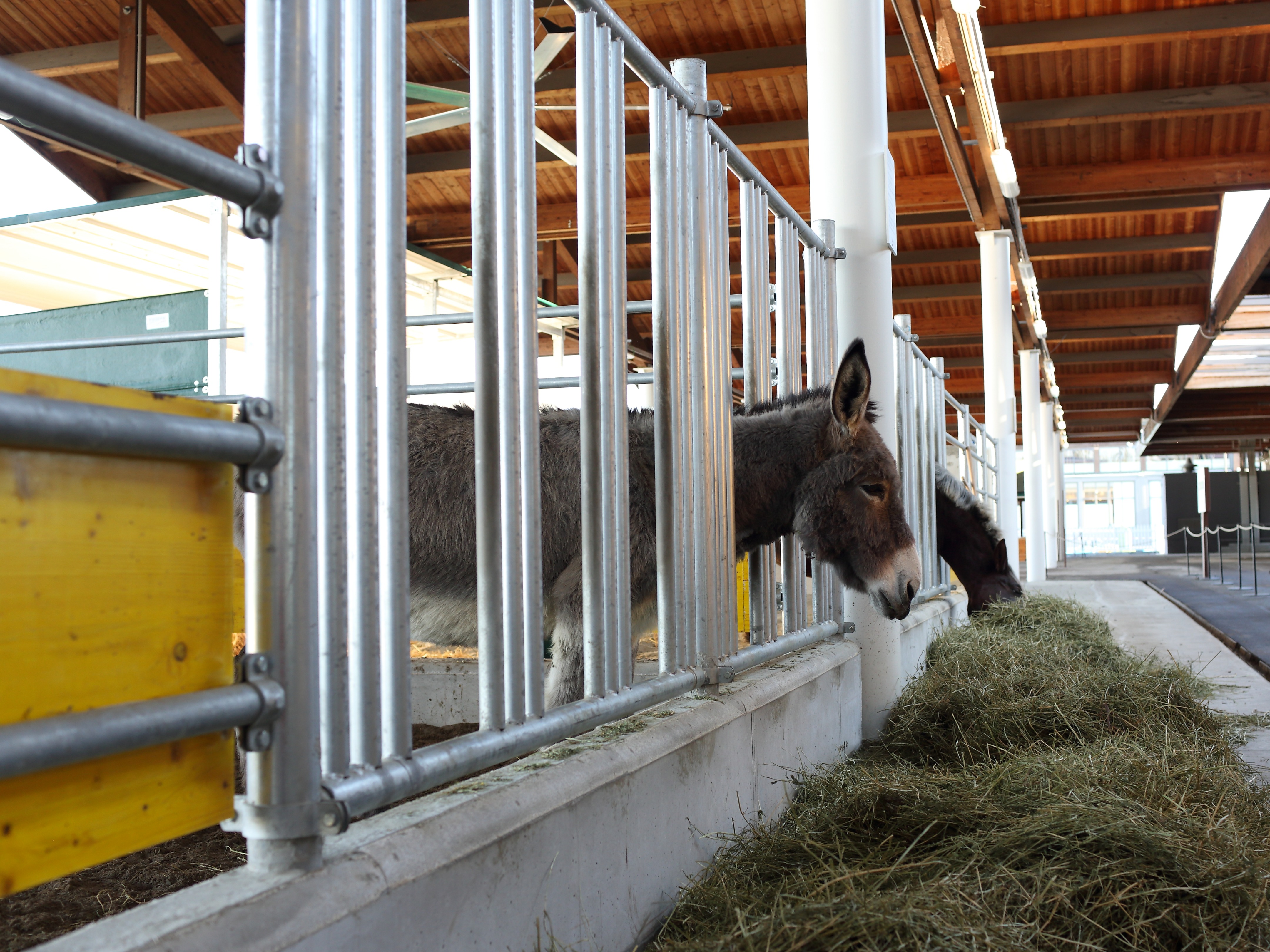 菲科·意塔利世界-25